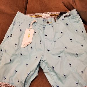 Men shorts  (pale turquoise blue)